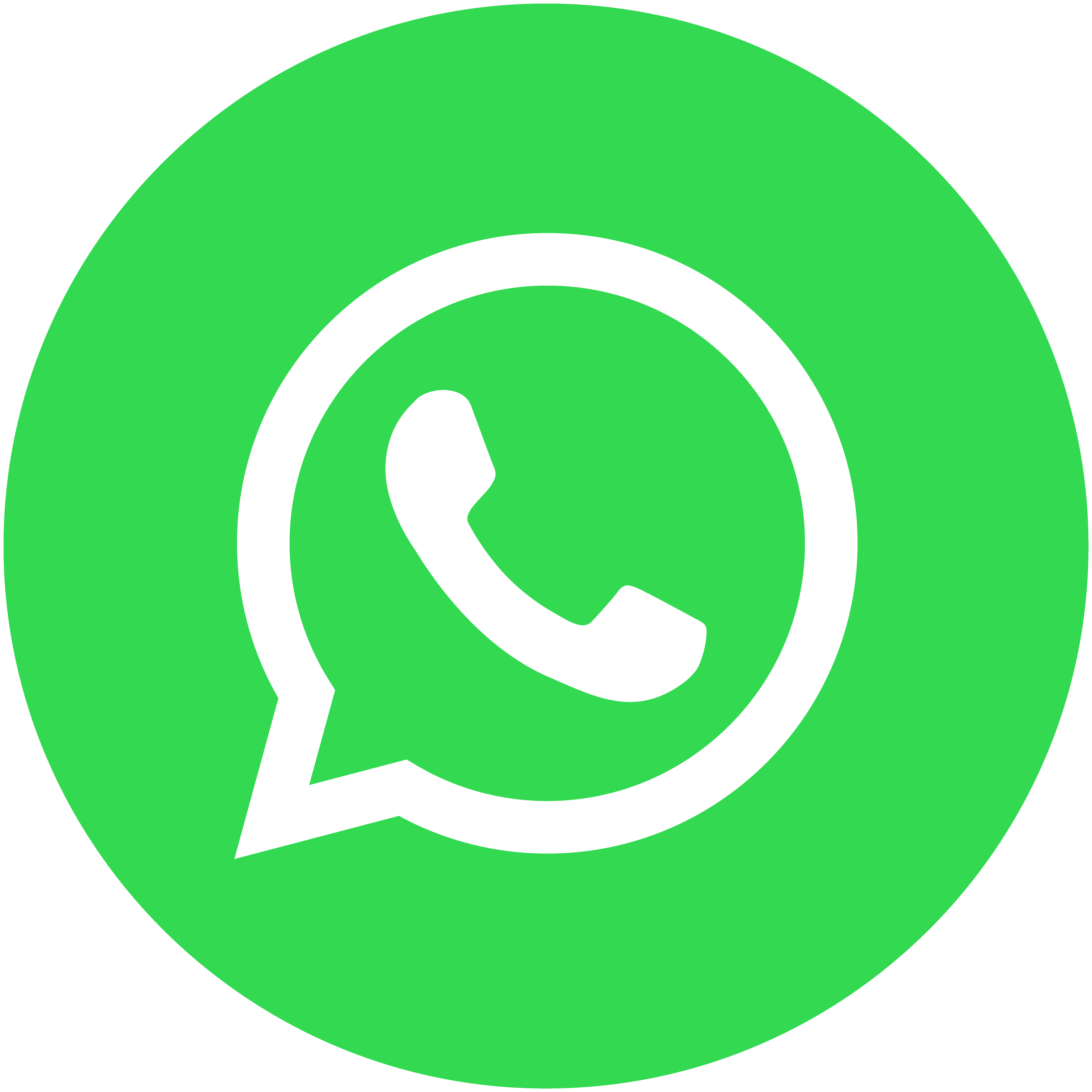 Entrar em contato no WhatsApp